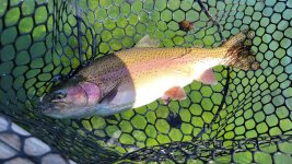 20220707_103735.jpg