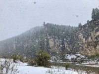 38C62F7B-0087-447E-9428-3FCE826585A3.jpeg