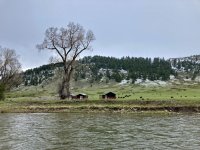 CDBC8739-276D-4F7F-AB49-BFFF7BA30625.jpeg