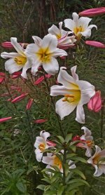 20220708_075410.jpg