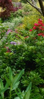 Full garden bench area.jpg