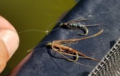 20220714_flies.jpg