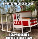 FB_IMG_1657424665751.jpg