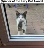 1657973905158.png