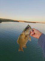 20220630_052830.jpg
