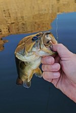 20220713_192422.jpg 20220713_192422.jpg