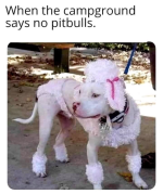 1658325643716.png