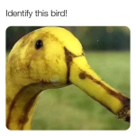 1658402711095.png