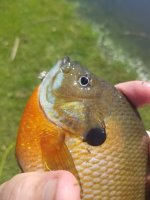 20220606_111735.jpg