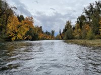 3523B520-BEB0-447E-801D-DA46E342809F.jpeg