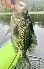 39618D0A-099E-479D-B079-E8B245B15FDF.jpeg