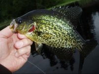 29D62D76-0DAB-477D-9F33-0108BB151038.jpeg