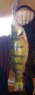 20200130_171045.jpg