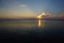 9A236304-B9A9-4656-A0A3-EFA6FDE63797.jpeg