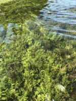 E1C847AB-9A04-43EC-BC38-24D020F1A06D.jpeg E1C847AB-9A04-43EC-BC38-24D020F1A06D.jpeg