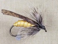 GC Quill Fly.jpg