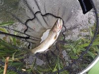 2018 05 01_0046.JPG