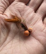 mud bug booby.jpg