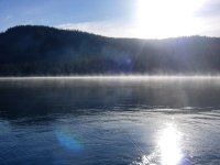 D5CE7745-A8E9-495A-9F3F-955DDEBC93C5.jpeg