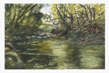 Anywhere Creek.jpg