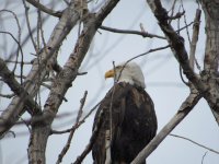 IMG_1417.JPG