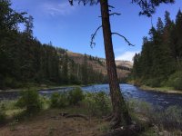 314DACC4-BE4B-4D98-BBD1-83F770DF61AC.jpeg