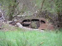 floodplain.JPG