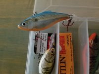 20220204_094543.jpg