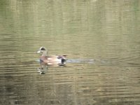 IMG_1425.JPG