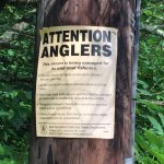 0401DEAD-BD9C-4DA5-A059-99C146F4DB96_1_105_c.jpeg