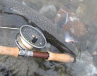reszeIMG_0001.jpg