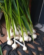20220727_191634.jpg 20220727_191634.jpg