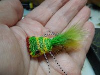 DSCN2615.JPG