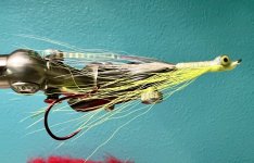 B14AD64C-5958-450C-AB28-E8BA06C1A933.jpeg