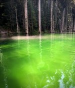 C339BD71-B858-46CC-A8E6-E57A8D6C2444.jpeg