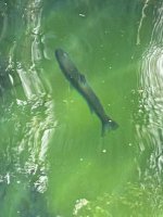 IMG_2414.jpeg