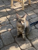 58668683-BF71-4256-9F74-D39B299257F7.jpeg
