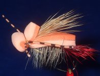 Creamsicle Hopper.JPG Creamsicle Hopper.JPG