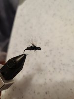 IMG_20220803_210523.jpg