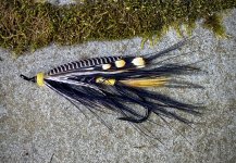 27EB0CAD-F935-4448-B52B-8EFBEA5906F8.jpeg