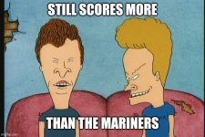 6p7td7.jpg