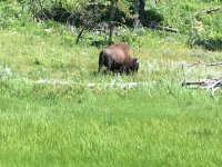 AB69273E-44D0-4BF7-B639-60D1A968D173.jpeg AB69273E-44D0-4BF7-B639-60D1A968D173.jpeg