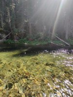 IMG_20220805_135733.jpg