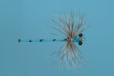 damsel_blue_2000x.jpg damsel_blue_2000x.jpg
