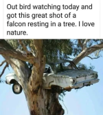 1660296371248.png