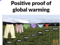 1660394496478.png