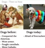 1660474084502.png
