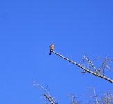065FA855-5EDB-47D3-8DAF-3E1DF9945349.jpeg