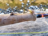 20220814_flies.jpg