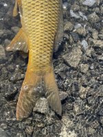 IMG_1355.jpg